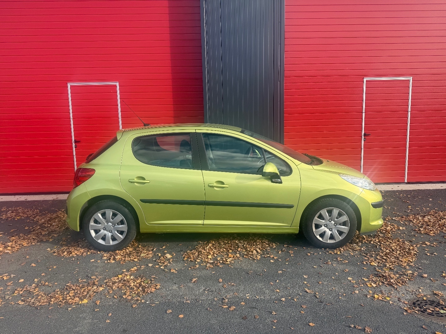Peugeot 207
