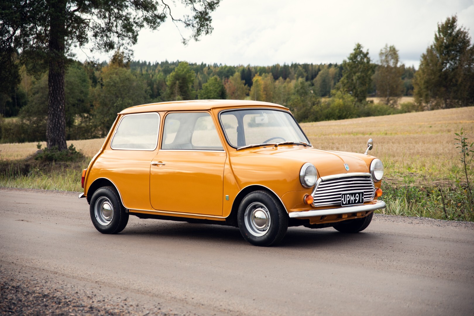 Morris Mini