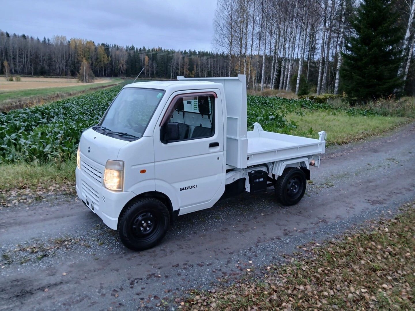 Suzuki Carry