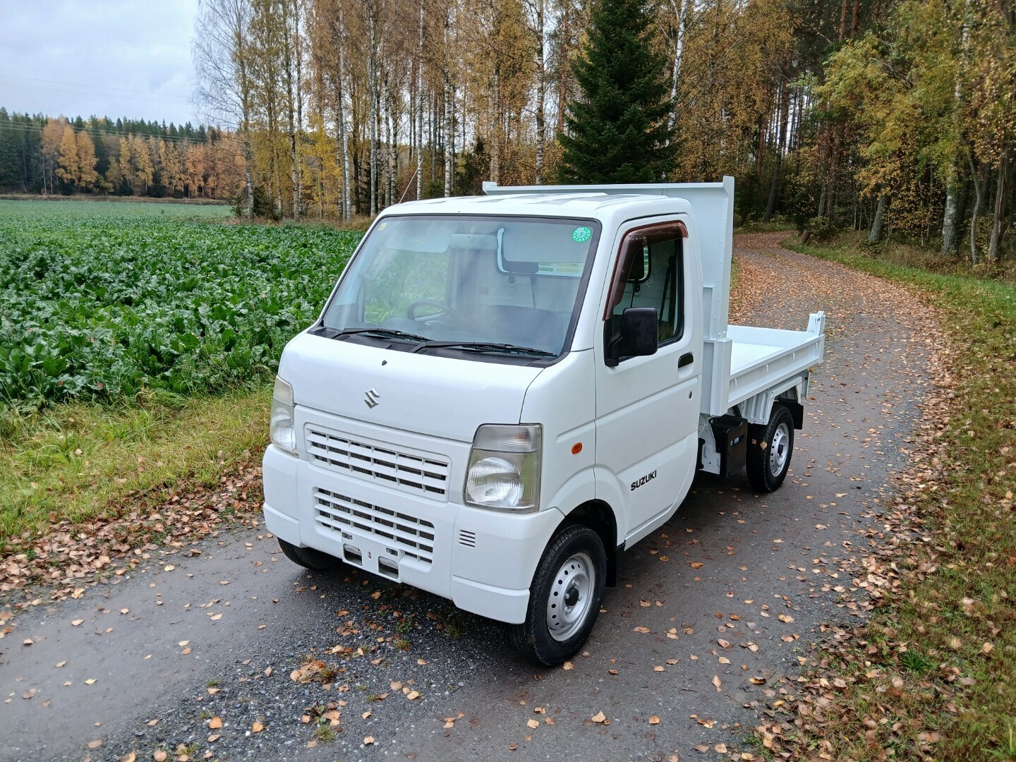 Suzuki Carry